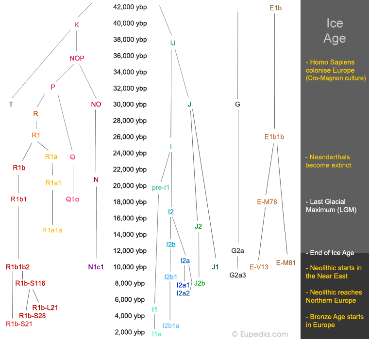 DNA Haplogroups – McKee Family From Donegal